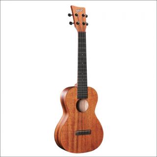 Ashton UKE 200 MH sopránové ukulele
