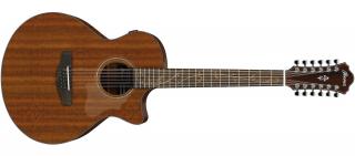 IBANEZ AE2912 - 12-strunná elektroakustická kytara