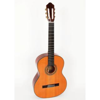 Pablo Vitaso VCG-40C  vel. 4/4 klasická kytara