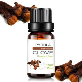 OLEJ HŘEBÍČEK ČISTÝ ETERICKÝ OLEJ 10ml