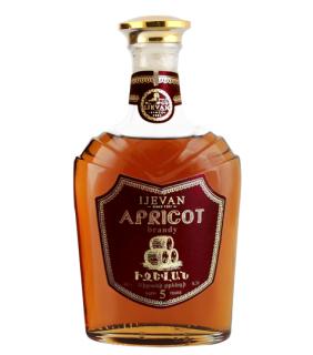 Arménské meruňkové brandy Ijevan - 5 let 500ml (IJEVAN APRICOT BRANDY)