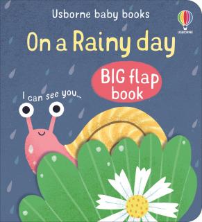 Big Flap Book - On a Rainy Day