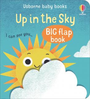 Big Flap Book - Up In The Sky