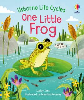 Life Cycles - One Little Frog