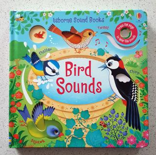 Sound Books - Bird Sounds - POŠKOZENO