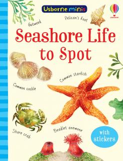Usborne minis - Seashore Life to Spot