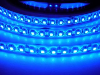 LED pásek 4,8W/m 12V jedno barevný, barevné variace | MaxLumen.cz Barva světla: modrá