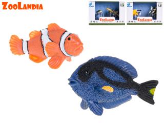 Zoolandia mořské rybičky 2 kusy v krabičce Barvy: oranžová