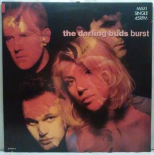 The Darling Buds ‎– Burst, 1988