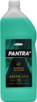 PANTRA PROFESIONAL 11 GREEN LILY 1L