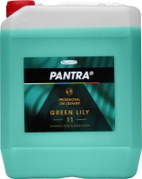 PANTRA PROFESIONAL 11 GREEN LILY 5L
