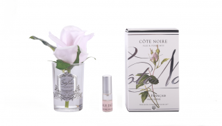 Côte Noire - Květinový difuzér - Růže - FRENCH PINK (SILVER)