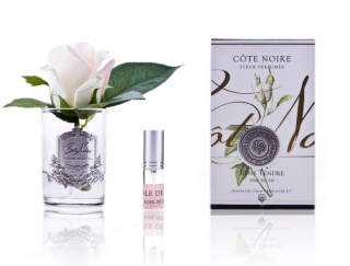 Côte Noire - Květinový difuzér - Růže - PINK BLUSH (SILVER)