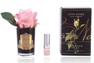 Côte Noire - Květinový difuzér - Růže - WHITE PEACH (GOLD)