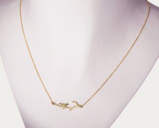 Pozlacený dámský náhrdelník Bird ze stříbra Délka řetízku: 60-65cm