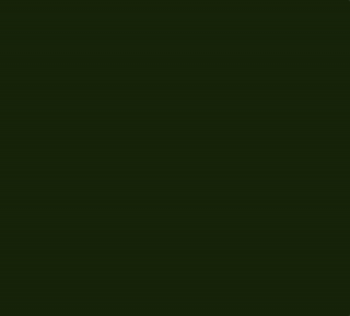 Barevné punčocháče - Roza - Fiore (mnoho barev) 2, Tmavě zelená