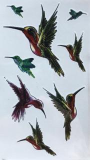 Kolibřík - Voděodolné tetování na nohu Zelená