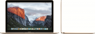Apple MacBook 12  Early-2016 (A1534)