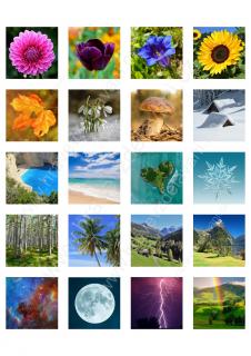 100 obrázků přírody