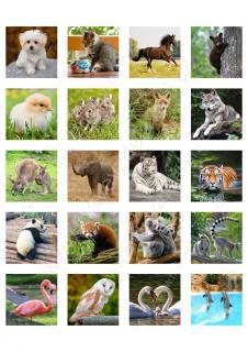 220 obrázků zvířat