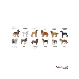 Psi (předměty od Safari Ltd. v tubě)