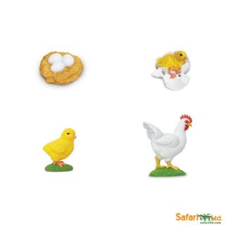 Životní cyklus kuřete (předměty od Safari Ltd.)