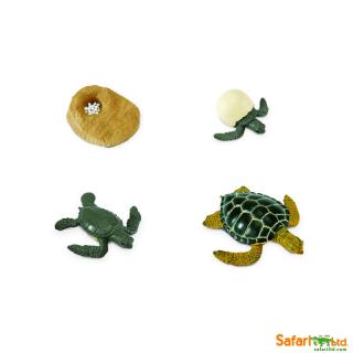 Životní cyklus mořské želvy (předměty od Safari Ltd.)
