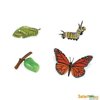 Životní cyklus motýla (předměty od Safari Ltd.)
