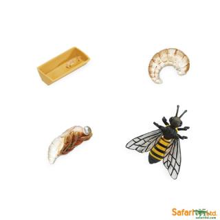Životní cyklus včely (předměty od Safari Ltd.)