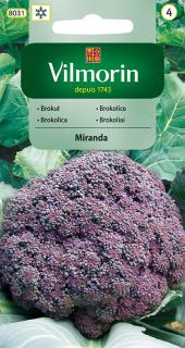 Brokolice Miranda fialová Vilmorin Classic 1 g