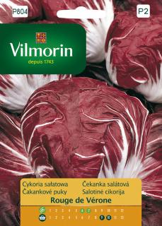 Čekanka salátová Rouge de Vérone Vilmorin Premium 0,5 g