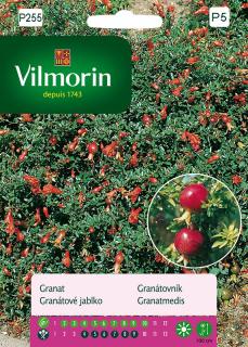 Granátovník Vilmorin Premium 30 semen