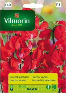 Hrachor vonný červený Vilmorin Premium 2 g