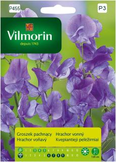 Hrachor vonný fialový Vilmorin Premium 2 g