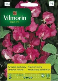 Hrachor vonný růžový Vilmorin Premium 2 g