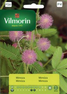 Mimoza Vilmorin Premium 0,8 g