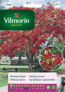 Ohňový strom Vilmorin Premium 4 g