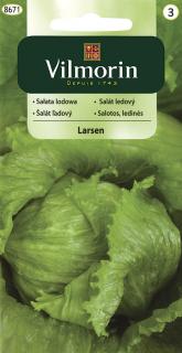 Salát ledový Larsen Vilmorin Classic 0,5 g