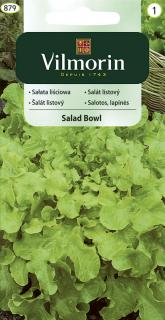 Salát listový Salad Bowl Vilmorin Classic 1 g