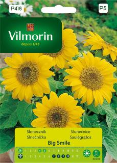 Slunečnice roční Big Smile Vilmorin Premium 0,5 g