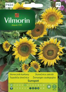Slunečnice zakrslá Sunspot Vilmorin Premium 1 g