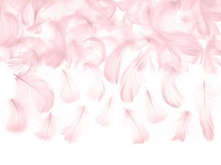 Dekorativní peříčka - světle růžová (3g)