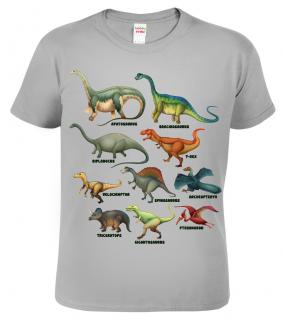 Dětské tričko s dinosaurem - Atlas dinosaurů Barva: Světle šedý melír (03), Velikost: 10 let / 146 cm