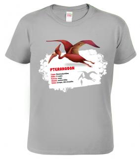 Dětské tričko s dinosaurem - Pteranodon Barva: Světle šedý melír (03), Velikost: 10 let / 146 cm