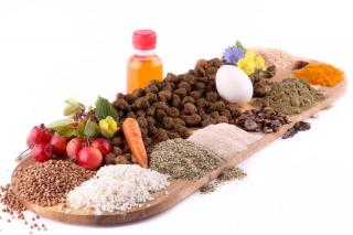 Doplňkové krmivo pro BARF - Extrudované s Lososovým olejem, 1 kg