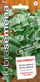 Okurka salátová do nádob - Bush Champion F1