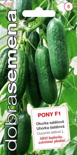 Okurka salátová - Pony F1 Mini do skleníku
