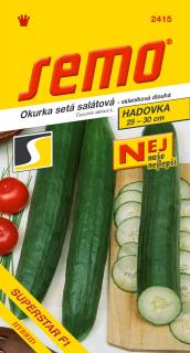 Okurka salátová - Superstar F1 do skleníku a fóliovníku