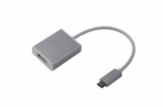 LMP USB-C to DisplayPort adapter, stříbrný