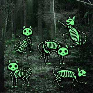 5ks Strašidelně zářící kostra černé kočky, zelená fluorescence